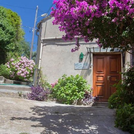 Maison Simonpietri Cagnano Екстер'єр фото