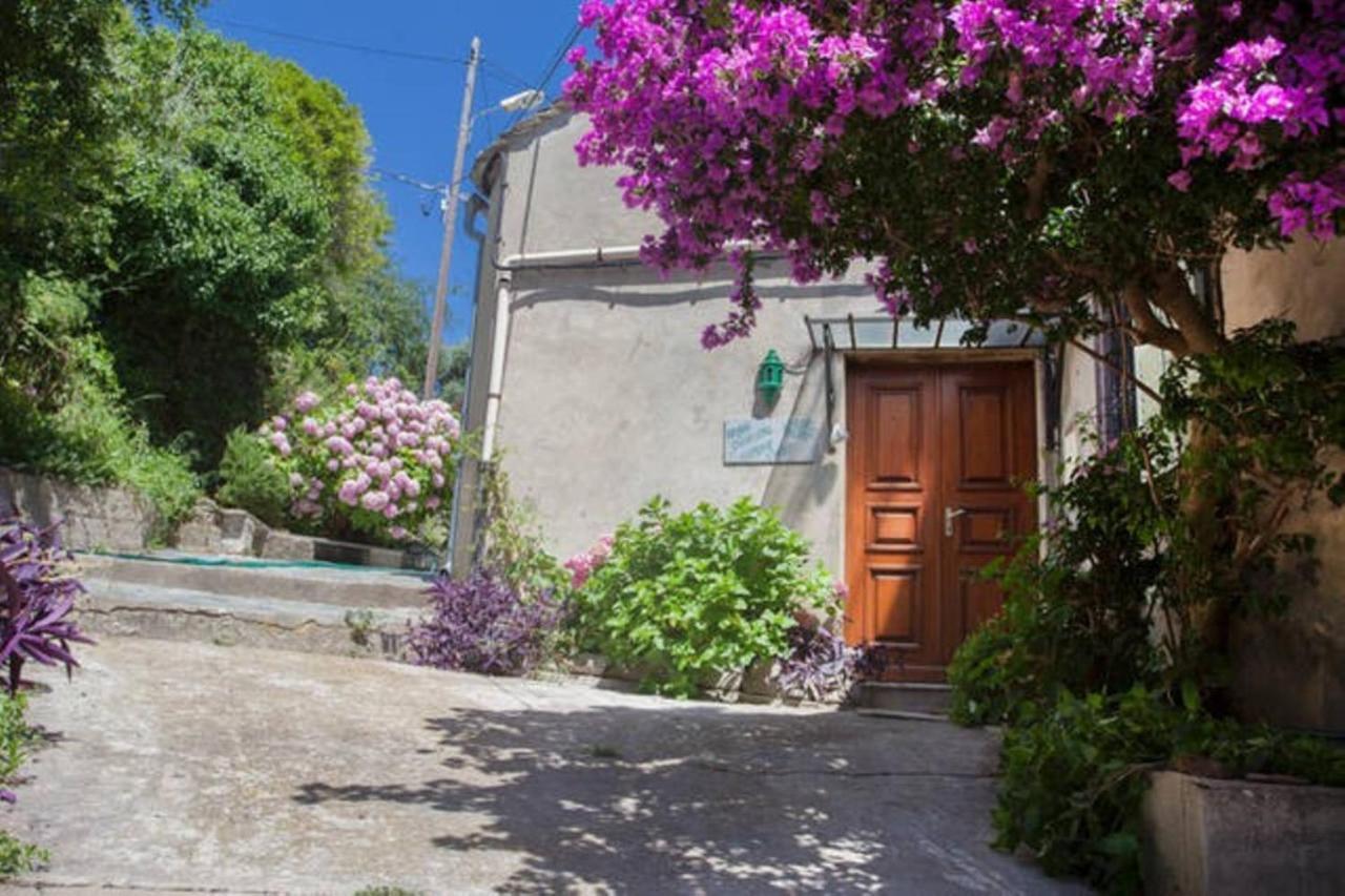 Maison Simonpietri Cagnano Екстер'єр фото